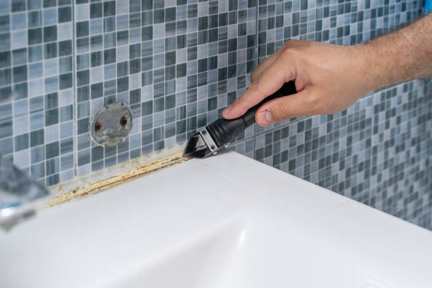Best Bathroom Mold Remediation in Wauseon, OH